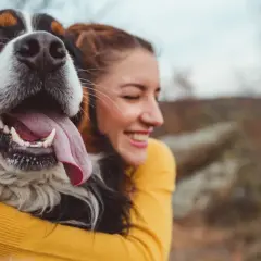 Glad kvinna kramar en stor hundras, en Bernersennen. Hunden flämtar lyckligt med tungan ute.