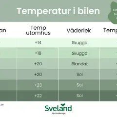 Tabell visar hur temperaturen i bilen stiger snabbt, även vid molnigt väder. En hund i bil kan snabbt få värmeslag.
