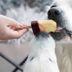 En hand matar en hundglass till två hundar. Ett enkelt hundglass recept för en varm sommardag.