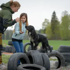 En kvinna och en flicka leker med en svart hundvalp bland gamla däck utomhus.