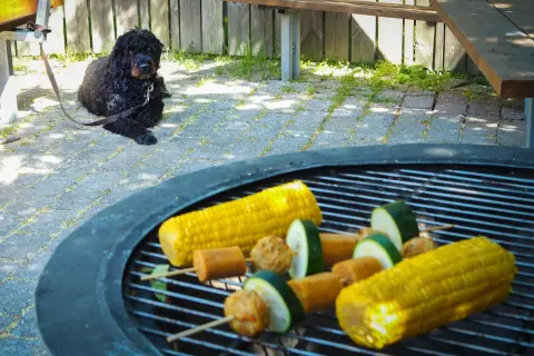En svart hund vilar på stenläggningen bredvid grillen där majskolvar och grönsaksspett förbereds.