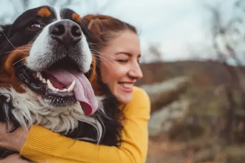 Glad kvinna kramar en stor hundras, en Bernersennen. Hunden flämtar lyckligt med tungan ute.