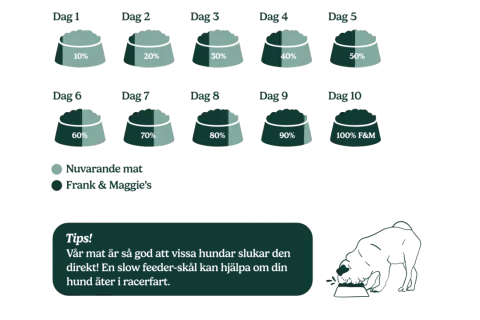 Schema för att byta foder till valp över 10 dagar, med gradvis ökning av nytt foder. Tips om slow feeder-skål.