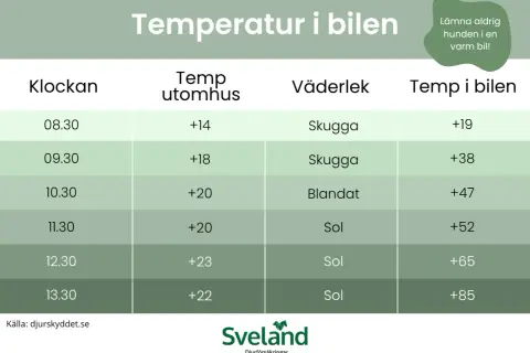 Tabell visar hur temperaturen i bilen stiger snabbt, även vid molnigt väder. En hund i bil kan snabbt få värmeslag.