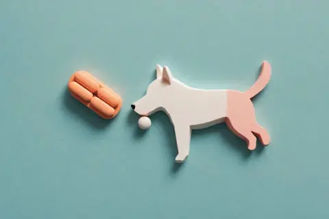 En vit och rosa hundfigur med en boll i munnen närmar sig en stapel orange tabletter, som representerar prednicortone hund.