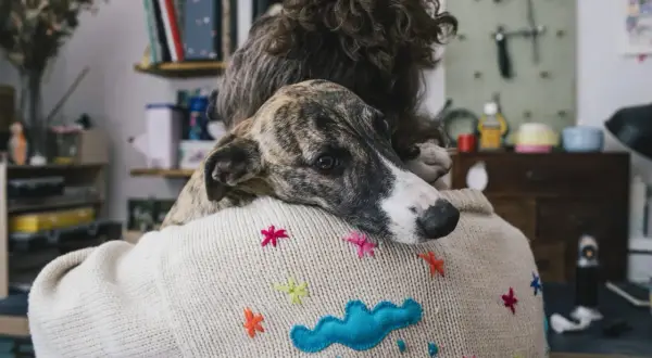 En hund vilar sitt huvud på en persons axel, en bild som kan väcka känslor av sorg efter hund.