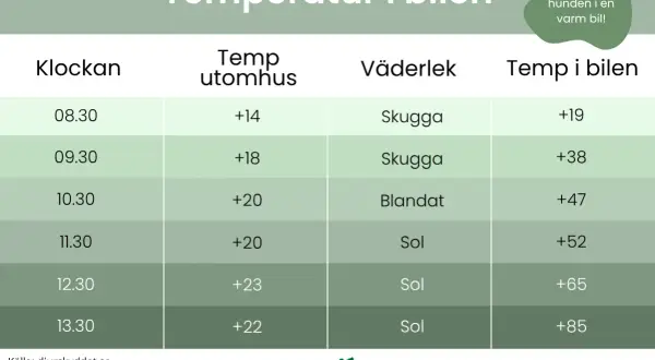 Tabell visar hur temperaturen i bilen stiger snabbt, även vid molnigt väder. En hund i bil kan snabbt få värmeslag.