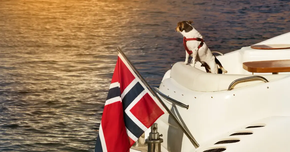 En hund med sele sitter på en vit yacht med norsk flagg. En perfekt resa att ta med hund till Norge.