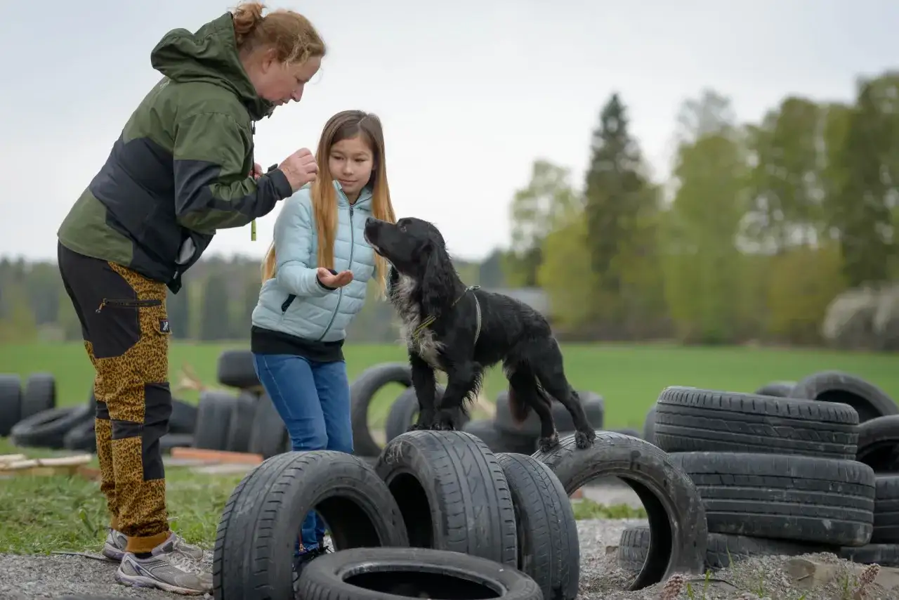 Lek med valp - Bygg relation & självkontroll