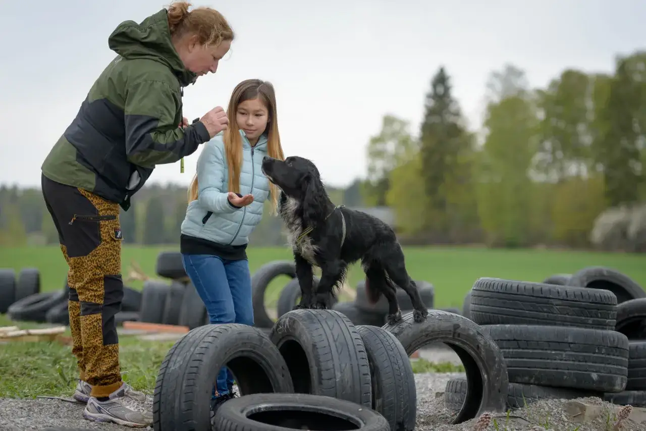 Lek med valp - Bygg relation & självkontroll