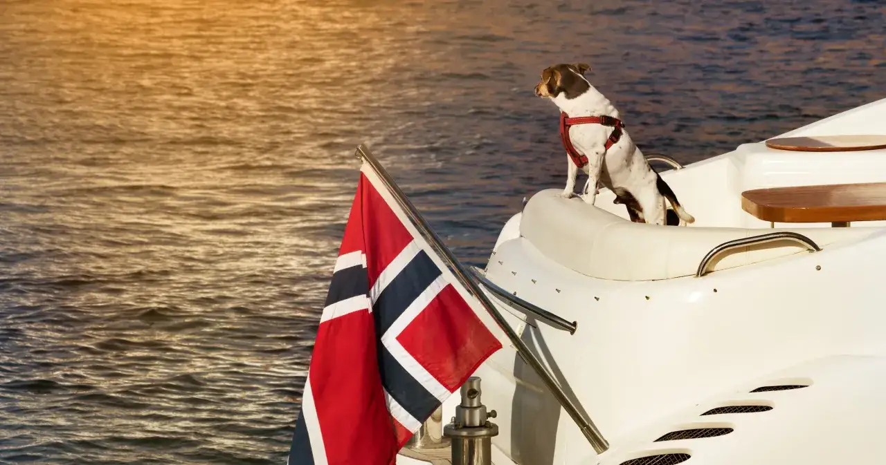 En hund med sele sitter p&aring; en vit yacht med norsk flagg. Kanske redo att ta med hund till Norge f&ouml;r ett &auml;ventyr vid havet.