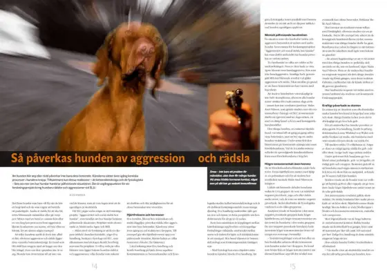 Hund skakar - När är det farligt? Guide till varningssignaler