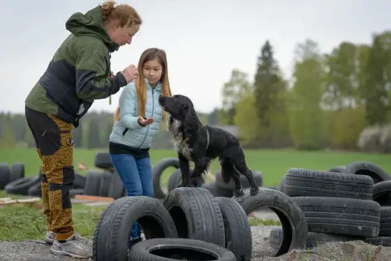 Lek med valp - Bygg relation & självkontroll