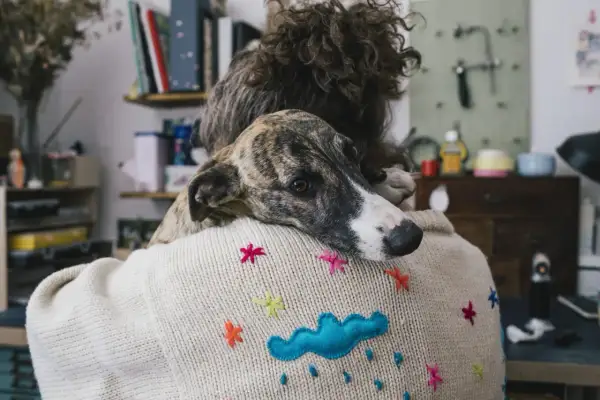 En hund vilar sitt huvud på en persons axel, en bild som kan väcka känslor av sorg efter hund.