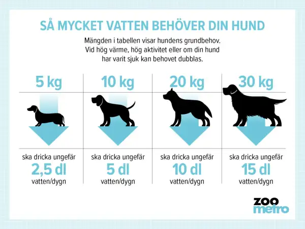 Tabell visar hur mycket ska en hund dricka per dygn baserat på vikt. En hund på 5 kg behöver ca 2,5 dl, 10 kg ca 5 dl, 20 kg ca 10 dl och 30 kg ca 15 dl.
